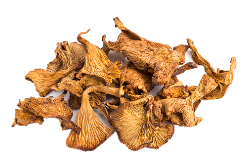 Dehidrirane lisičarke